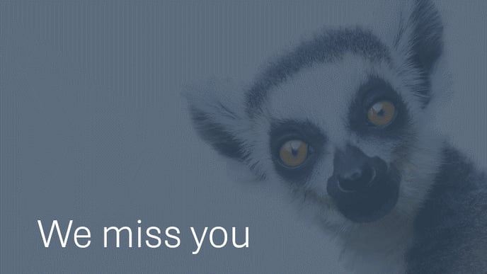 We miss you Lemur